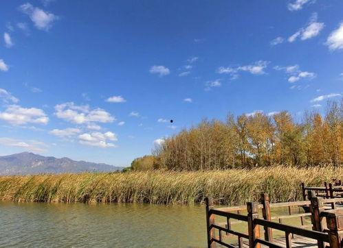 长寿湖 网红民宿有哪些,隐匿水边的诗意栖息地