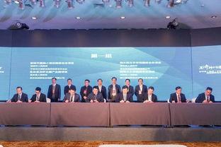 济宁头条新闻孟子湖,济宁城市绿肺焕发生机