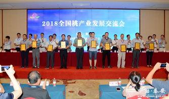 秦安县新闻头条小学,展现青春风采”