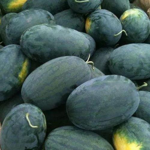 江儿金店吃瓜,揭秘背后真相与行业风云