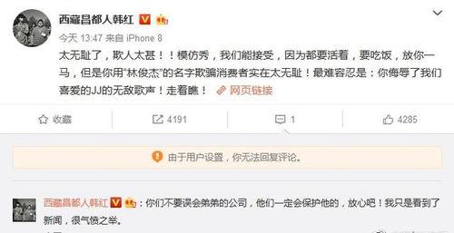 山寨版明星对此,模仿秀背后的故事与争议