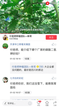 今日头条肇庆特产是什么,品味当地特色美食，解锁肇庆特产之谜