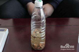 网红钓鱼小药怎么用,轻松钓获大鱼秘诀