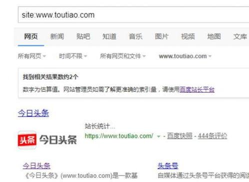 头条网址收录,揭秘热门内容快速传播的秘密武器