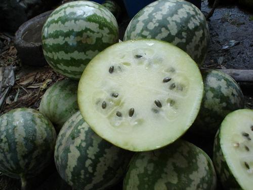 罗门坎瓜怎么吃,从传统到创新的美味之旅