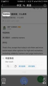 明星翻译赚钱吗,揭秘高薪背后的职业秘密