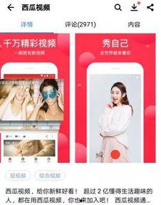 在头条如何直播西瓜视频,轻松实现跨平台内容同步与互动