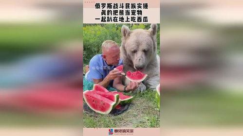 熊瓜可以吃吗,可食用之谜，揭秘其营养价值与食用方法