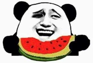 吃瓜群众网恋视频大全,揭秘吃瓜群众网恋视频大全背后的甜蜜与辛酸