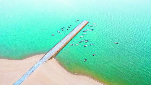 网红露营地厦门,邂逅海风与星空的浪漫之旅