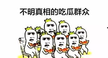 吃瓜群众和飞天喵,揭秘网络热点的幕后故事
