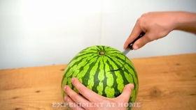 北航吃瓜视频,揭秘校园生活趣味瞬间