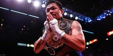 拳击明星,传奇拳击明星的辉煌历程