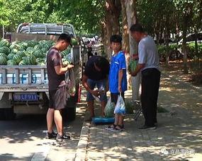 吃瓜群众肯定排队,揭秘热门事件背后的真相