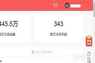 头条从哪看推荐量,从内容质量到算法解析