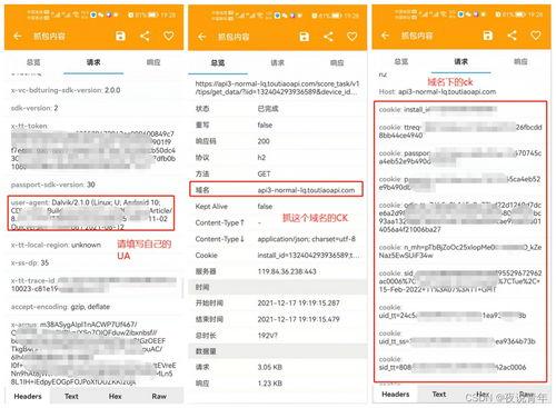 头条极速版脚本设置,头条极速版带你开启财富之门