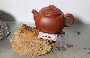 如何看大红袍泥料,千年岩茶的秘密孕育