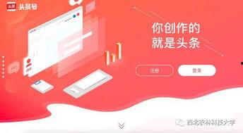 如何通过邮箱查找头条号,如何轻松通过邮箱找到头条号