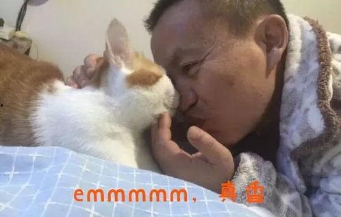 抖音网红猫喝水视频,萌态可掬引网友热议