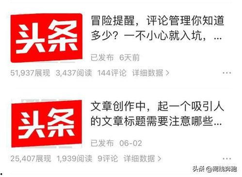 微头条 文章 区别,深度解析内容差异与特点