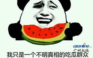 吃瓜掉马甲啥意思