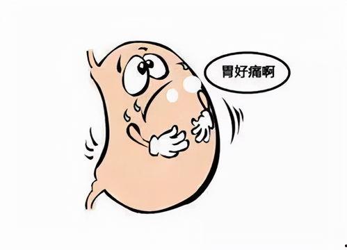 吃瓜多了吐了胃疼,揭秘网络热议背后的健康隐患