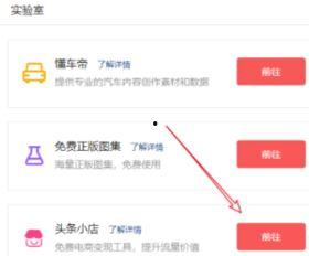 头条小店店铺名称怎么写,店铺名称背后的独特魅力与经营之道