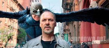 电影鸟人在线观看,飞翔的视觉盛宴，在线观影指南