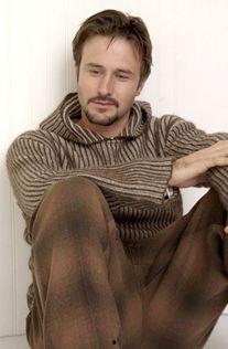 gv明星大卫,揭秘GV明星大生的幕后故事与辉煌历程