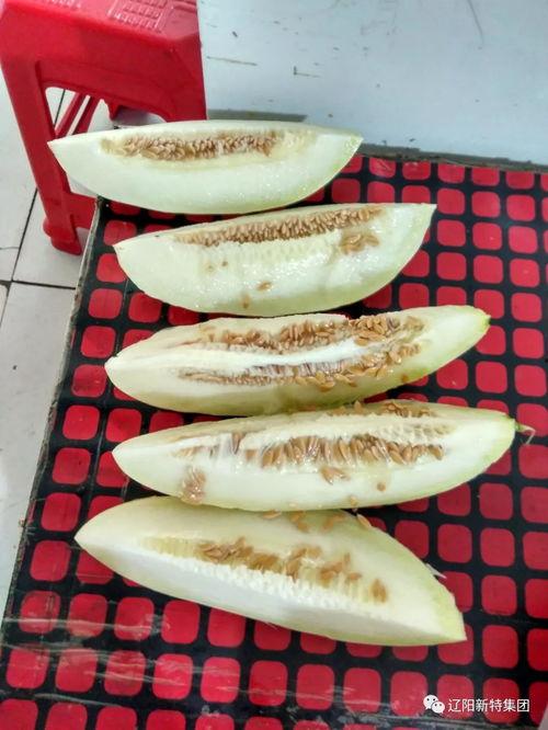 带你吃瓜山寨体育品牌,山寨体育品牌的崛起与争议