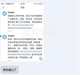 头条有没有开通专栏功能,内容创作者的专属舞台