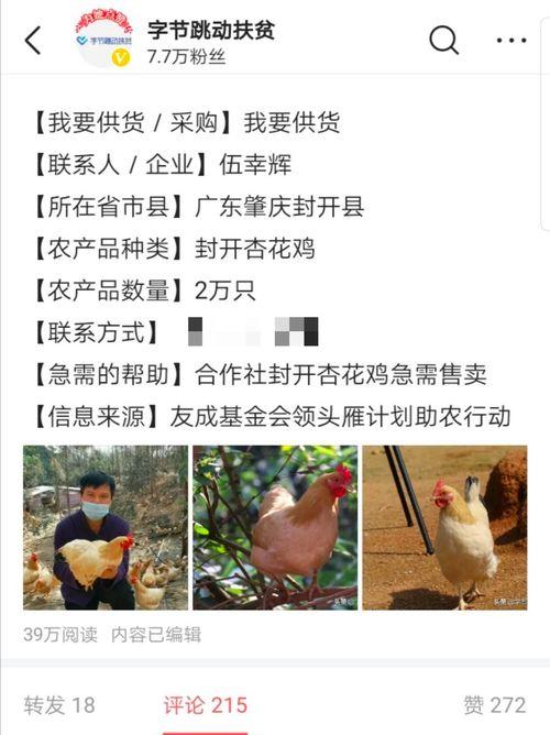 今日头条疫情宣传视频,共筑健康防线——今日头条疫情宣传视频深度解读