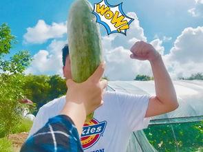 吃瓜现在阅读,跟随潮流，品味生活百态