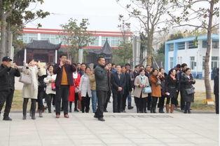 今年临沂临港新闻头条,聚焦发展新篇章，共绘区域繁荣图