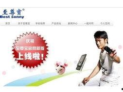 明星代言网站,网站揭秘明星效应背后的秘密